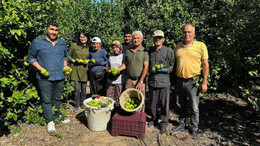 Limonun ihracat yolculuğu başladı