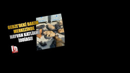 Gebze Belediyesinden katliam açıklaması!