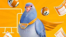13 Şubat Süper Loto sonuçları 2025-Süper Loto’da kazanan numaralar