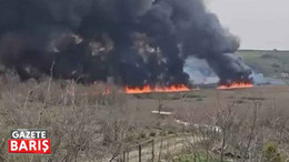 Sakarya’da başlayan yangın Kocaeli’ye sıçradı