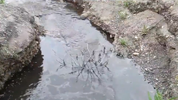 Sapanca Gölü’nde korkutan görüntü: Akaryakıt sızıyor!