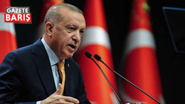 Erdoğan muhalefet belediyeleri sokak hayvanları düzenlemesi konusunda uyardı