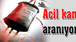 B RH(+) pozitif kan aranıyor