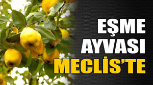 Eşme ayvası Meclis’te