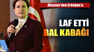 Akşener’den Erdoğan’a: Laf etti balkabağı!