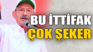 Bu ittifak çok şeker