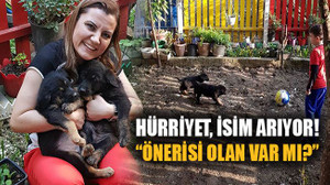 Hürriyet, isim arıyor! “Önerisi olan var mı?”