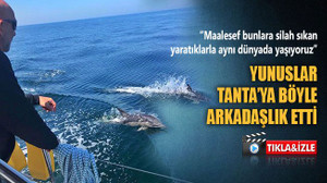 Yunuslar, Tanta’ya böyle arkadaşlık etti