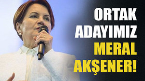 Ortak adayımız Meral Akşener!