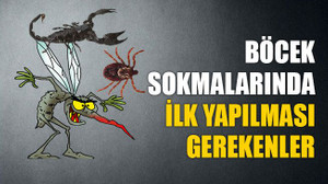Böcek sokmalarında ilk yapılması gerekenler