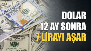 Dolar 12 ay sonra 7 lirayı aşar