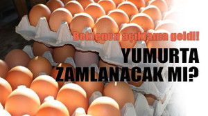Beklenen açıklama geldi! Yumurta zamlanacak mı?