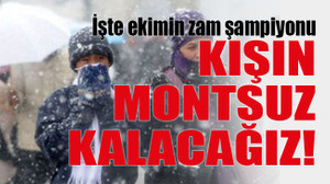 İşte ekimin zam şampiyonu Kışın montsuz kalacağız!