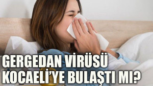 Gergedan virüsü Kocaeli’ye bulaştı mı?