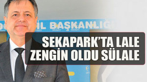 Sekapark’ta lale zengin oldu sülale