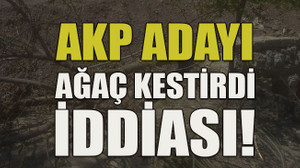 AKP adayı ağaç kestirdi iddiası!