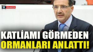 Katliamı görmeden ormanları anlattı!