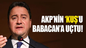 AKP’nin ‘Kuş’unu Babacan kaptı!