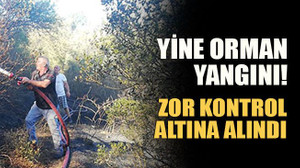 Yine orman yangını! Zor kontrol altına alındı