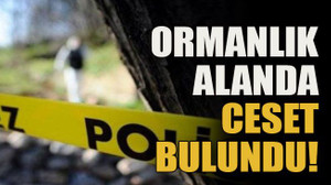 Ormanlık alanda ceset bulundu!