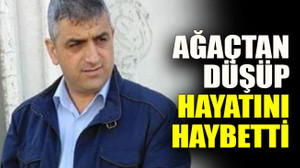 Ağaçtan düşüp hayatını haybetti