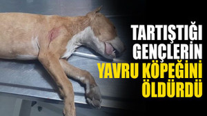 Tartıştığı gençlerin yavru köpeğini öldürdü