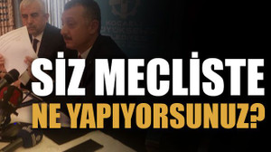 Siz mecliste ne yapıyorsunuz?