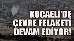 Kocaeli’de çevre felaketi devam ediyor!