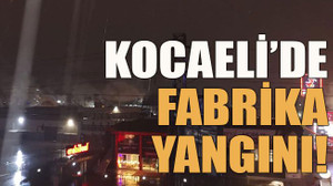 Kocaeli’de fabrika yangını!