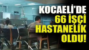 Kocaeli’de 66 işçi hastanelik oldu!