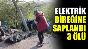 Elektrik direğine saplandı: 3 ölü