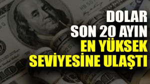 Dolar son 20 ayın en yüksek seviyesine ulaştı
