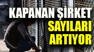 Kapanan şirket sayıları artıyor