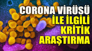 Corona virüsü ile ilgili kritik araştırma