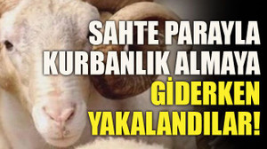 Sahte parayla kurbanlık almaya giderken yakalandılar!