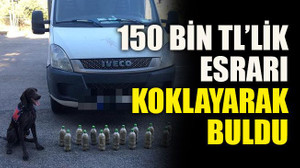150 bin TL’lik esrarı koklayarak buldu