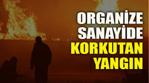 Organize sanayide korkutan yangın