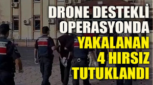 Drone destekli operasyonda yakalanan 4 hırsız tutuklandı