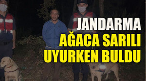 Ormanda kaybolan zihinsel engelli vatandaş ağaca sarılı şekilde uyurken bulundu