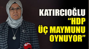 Katırcıoğlu: “HDP üç maymunu oynuyor”