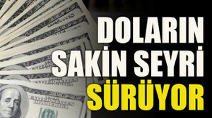 Doların sakin seyri sürüyor