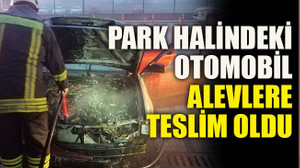 Park halindeki otomobil alevlere teslim oldu