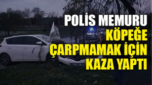 Polis memuru köpeğe çarpmamak için kaza yaptı