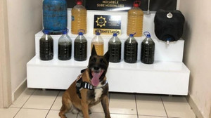 51 kilo 500 gram uyuşturucu ile yakalan 4 kişi tutuklandı