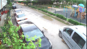Yolda oynayan yavru köpeği ezip yoluna devam etti
