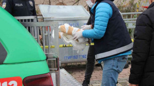 Çöpün yanında ölmüş halde 2 kedi ve 2 köpek bulundu