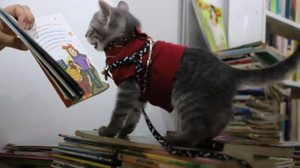 Kitap Fuarı'nın en sevimli misafiri Luna