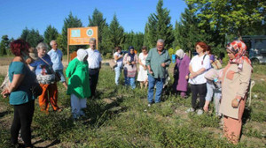 Kocaeli, tıbbi ve aromatik bitki üreticiliğinin merkezi olma yolunda