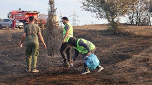 Gönüllüler, yanan ormanlık alandaki çöpleri topladı
