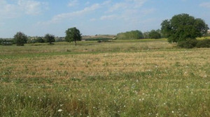 Gölcükte 753 bin TL'ye arsa!